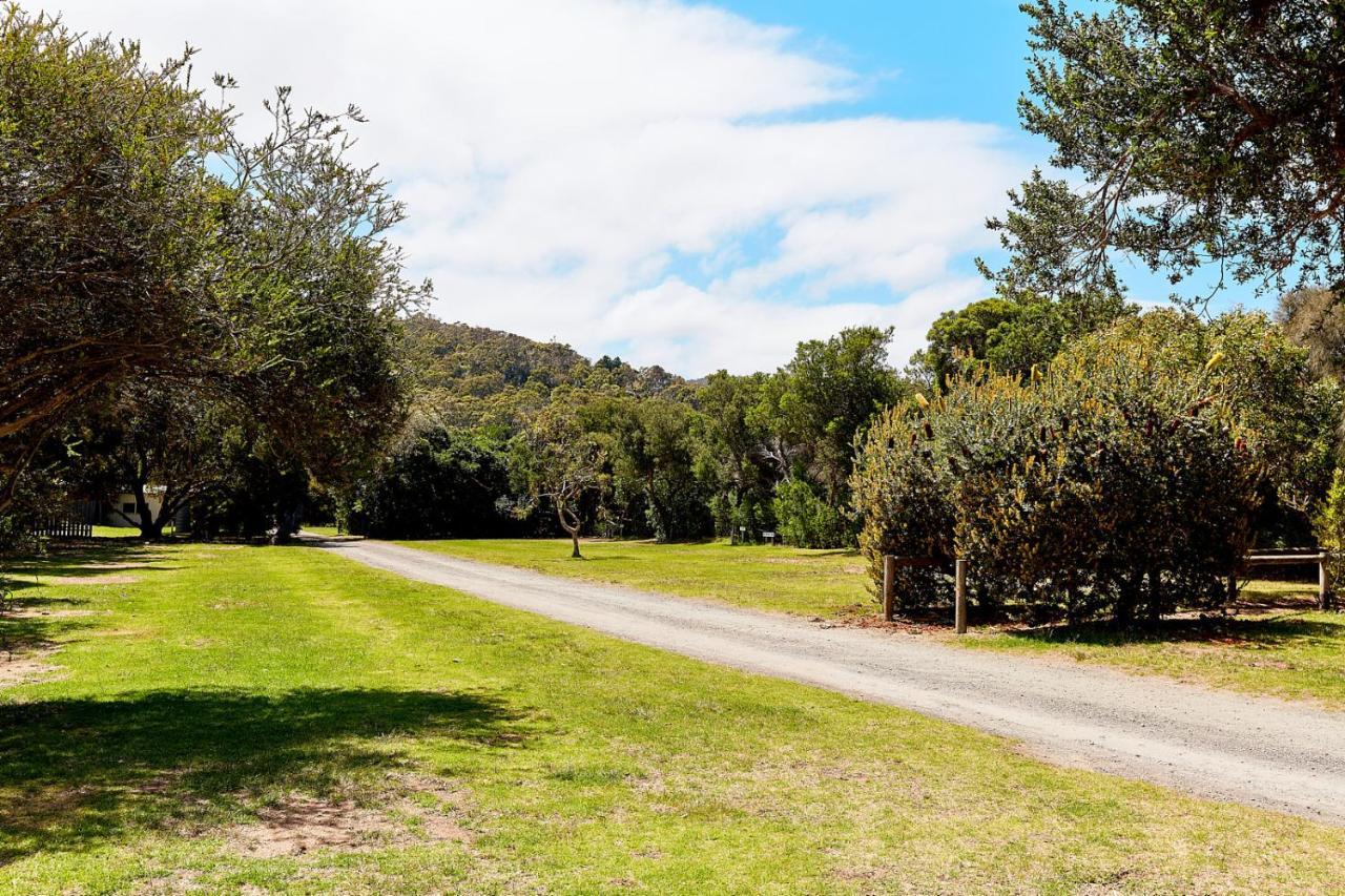 Kennett River Family Caravan Park Wye River Eksteriør bilde